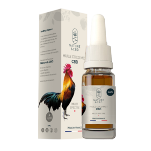 Huile CBD coco MCT 10%