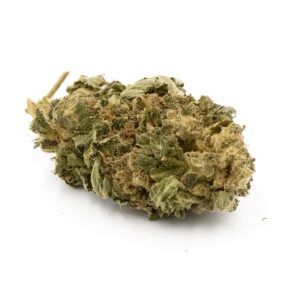 SATIVA L - FLEURS DE CBD - INFUSION