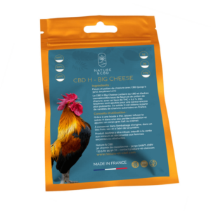 BIG CHEESE - INFUSION CBD H