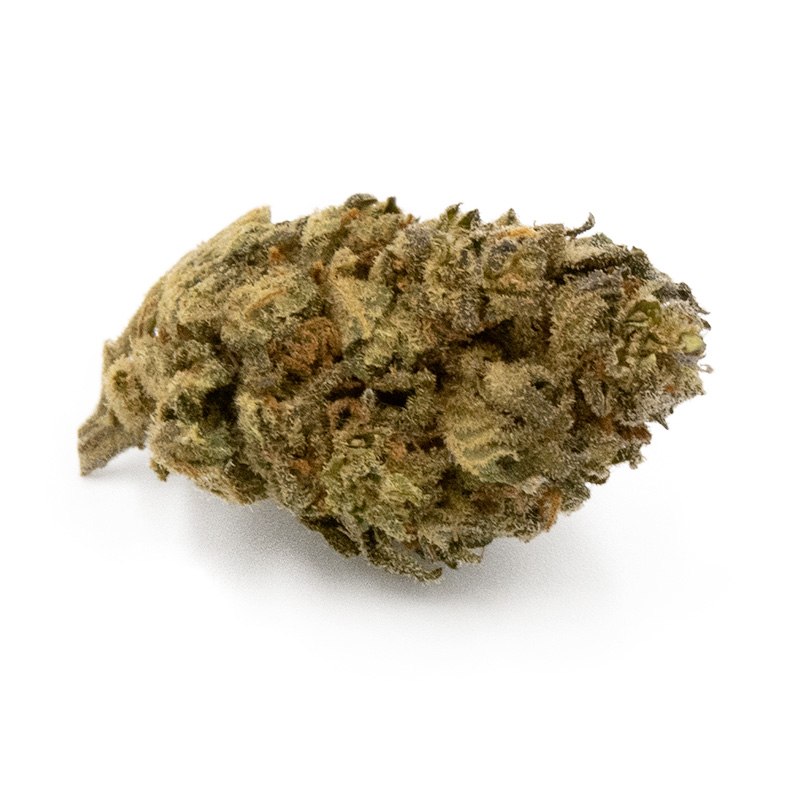 ORANGE BUD - INFUSION FLEURS CBD